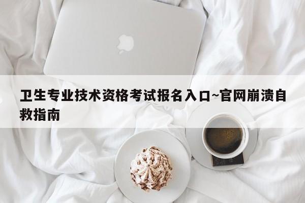 卫生专业技术资格考试报名入口~官网崩溃自救指南