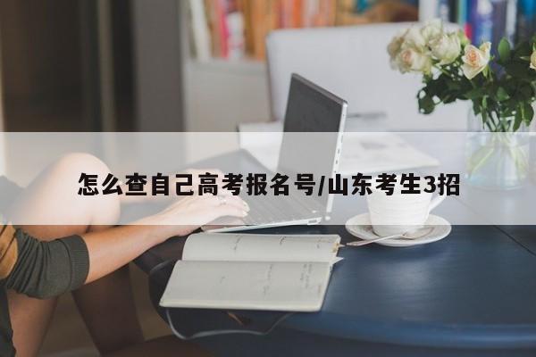 怎么查自己高考报名号/山东考生3招